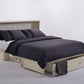 Night and Day Murphy Cabinet Bed Daisy Murphy Cabinet Bed with Queen Gel Memory Foam Mattress - Available in 3 Colours