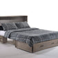 Night and Day Murphy Cabinet Bed Driftwood Poppy Cabinet Murphy Bed with Queen Gel Memory Foam Mattress - Available in 4 Colours