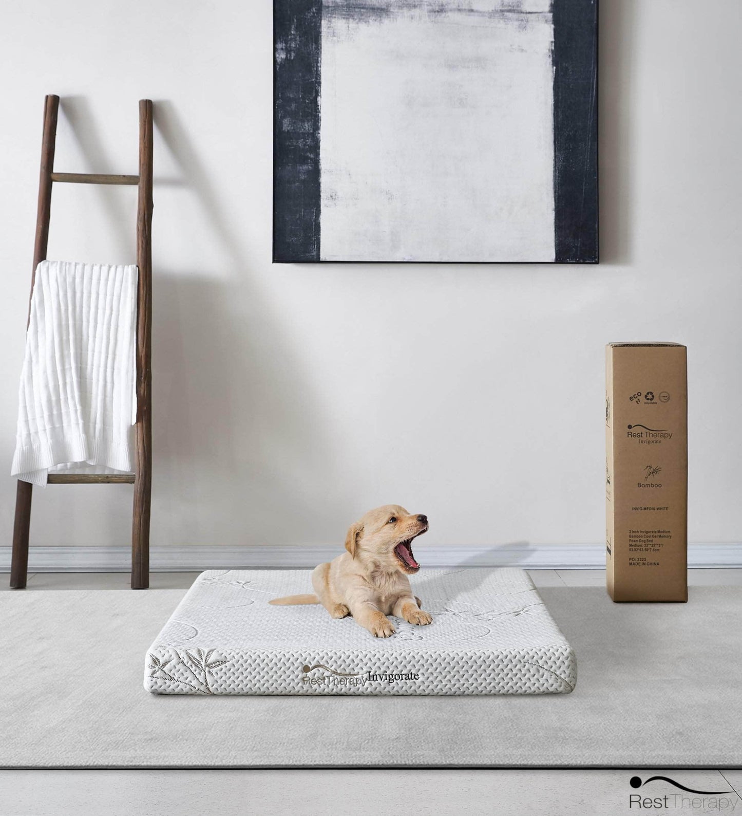 Pending - Rest Therapy 3 Inch Invigorate Bamboo Cool Gel Memory Foam Dog Bed - Available in 3 Sizes